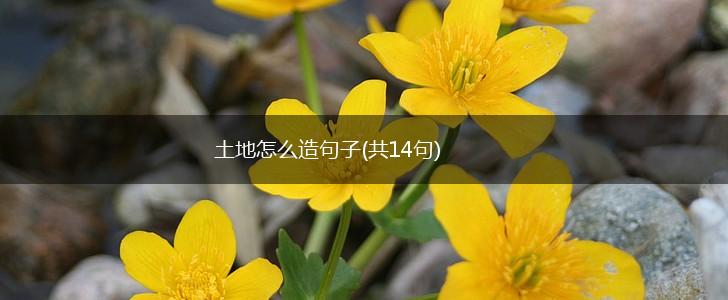 土地怎么造句子(共14句),第1张
