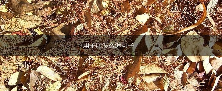用子店怎么造句子,第1张