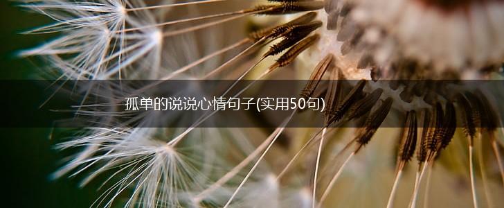 孤单的说说心情句子(实用50句),第1张