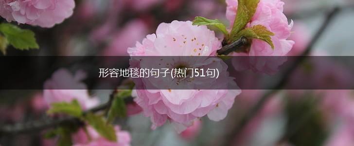 形容地毯的句子(热门51句),第1张
