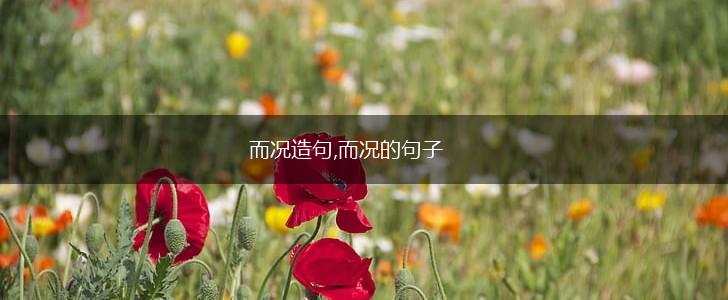 而况造句,而况的句子,第1张 而况造句,而况的句子,第1张