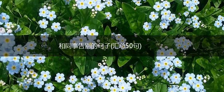 和同事告别的句子(汇总50句),第1张
