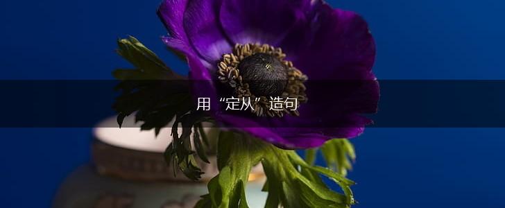 用“定从”造句,第1张