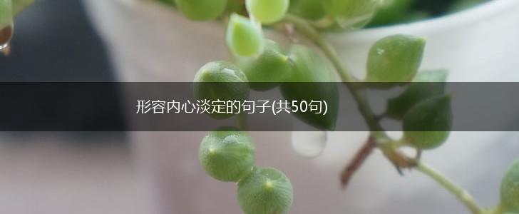 形容内心淡定的句子(共50句),第1张