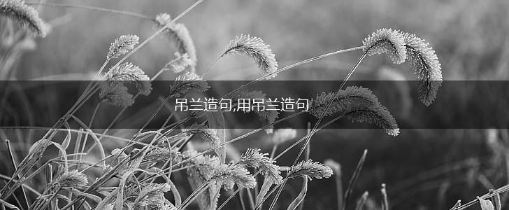 吊兰造句,用吊兰造句,第1张