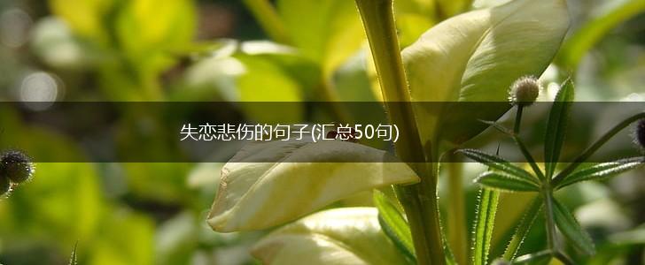失恋悲伤的句子(汇总50句),第1张