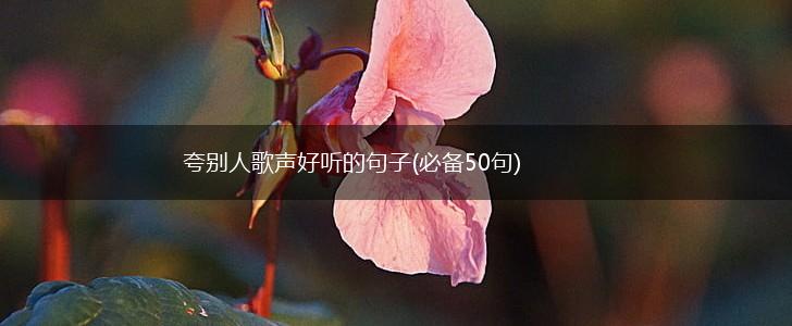 夸别人歌声好听的句子(必备50句),第1张