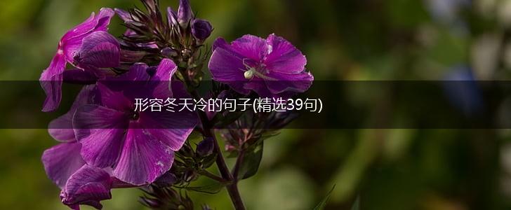 形容冬天冷的句子(精选39句),第1张