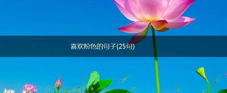 喜欢粉色的句子(25句),第1张