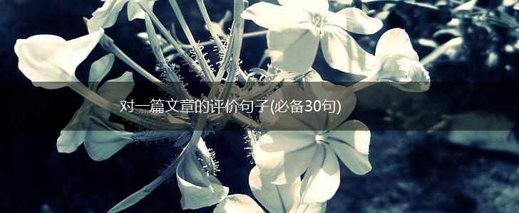 对一篇文章的评价句子(必备30句),第1张