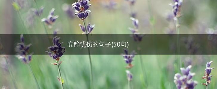 安静忧伤的句子(50句),第1张