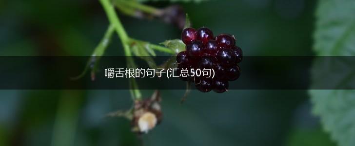 嚼舌根的句子(汇总50句),第1张