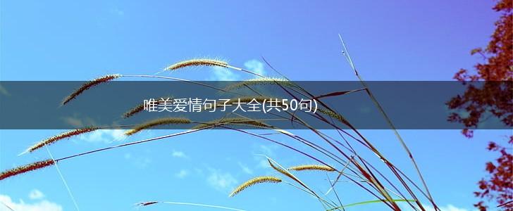 唯美爱情句子大全(共50句),第1张