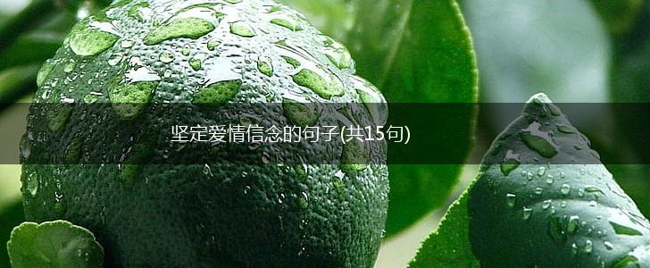 坚定爱情信念的句子(共15句),第1张
