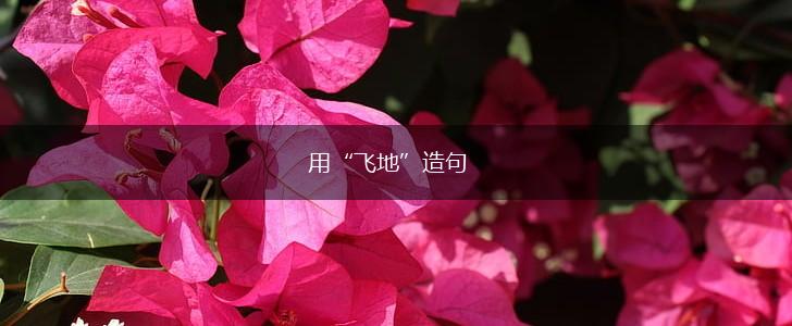 用“飞地”造句,第1张 用“飞地”造句,第1张