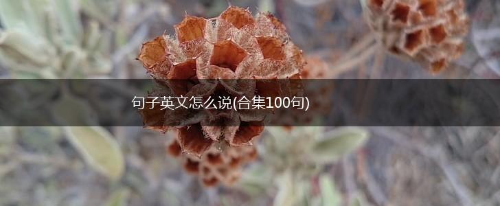 句子英文怎么说(合集100句),第1张