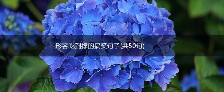 形容吃到撑的搞笑句子(共50句),第1张
