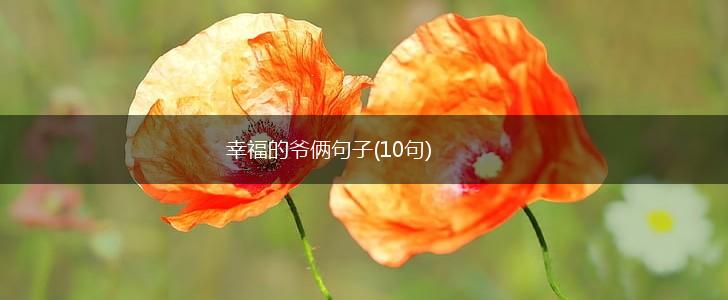 幸福的爷俩句子(10句),第1张