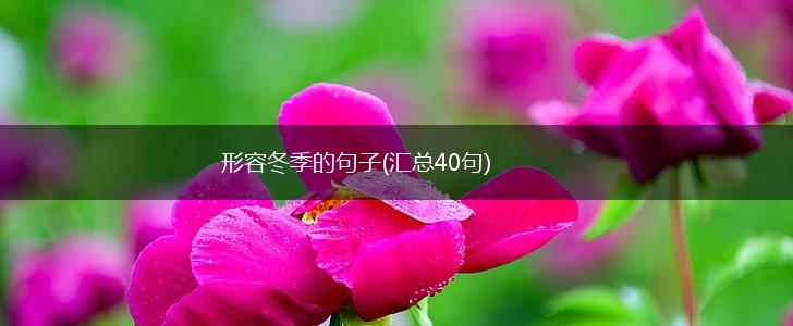 形容冬季的句子(汇总40句),第1张