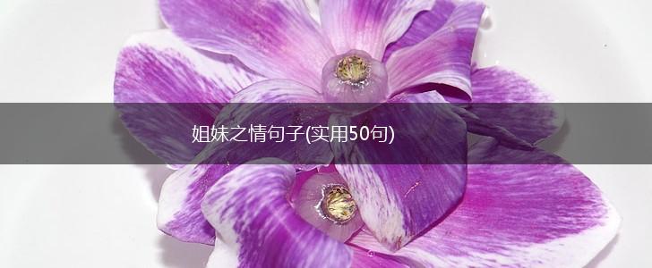 姐妹之情句子(实用50句),第1张