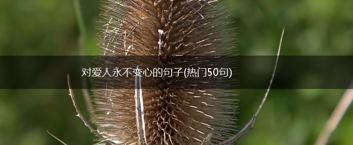 对爱人永不变心的句子(热门50句),第1张