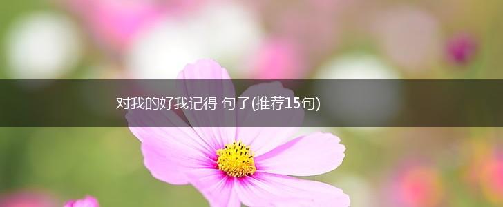 对我的好我记得 句子(推荐15句),第1张