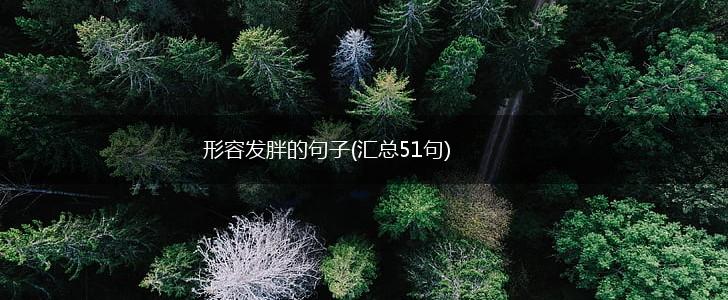形容发胖的句子(汇总51句),第1张