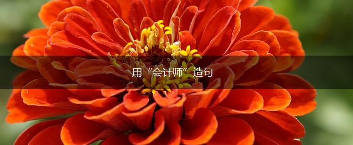 用“会计师”造句,第1张