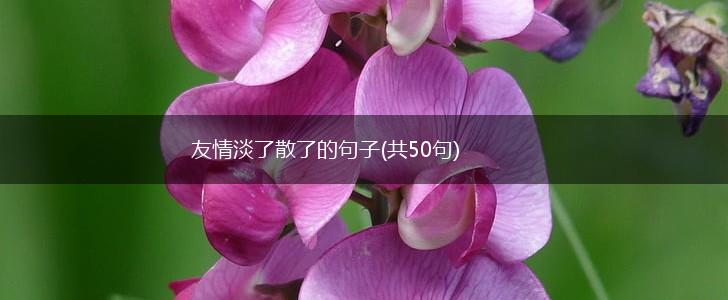 友情淡了散了的句子(共50句),第1张