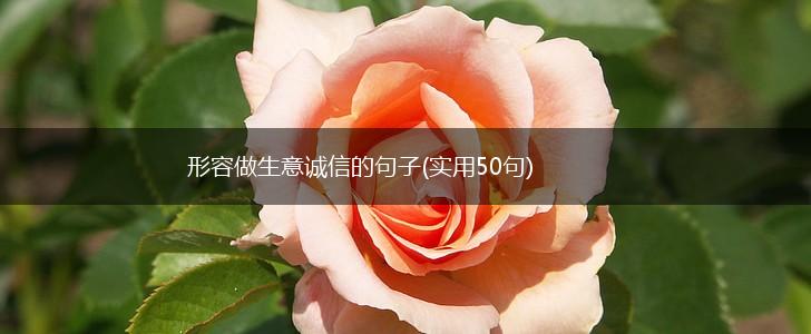 形容做生意诚信的句子(实用50句),第1张