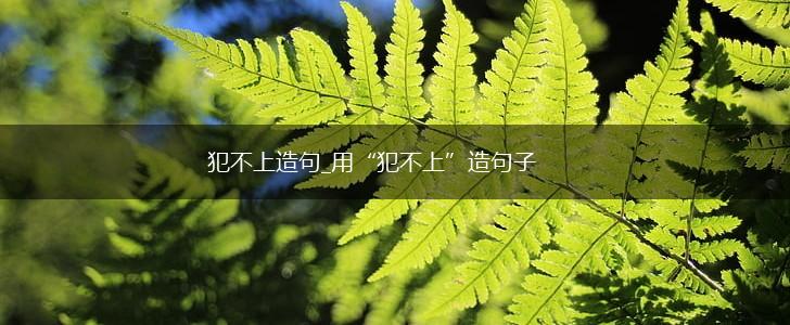 犯不上造句_用“犯不上”造句子,第1张 犯不上造句_用“犯不上”造句子,第1张