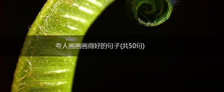 夸人画画画得好的句子(共50句),第1张