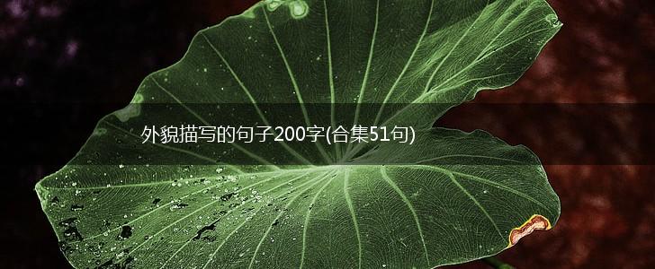 外貌描写的句子200字(合集51句),第1张