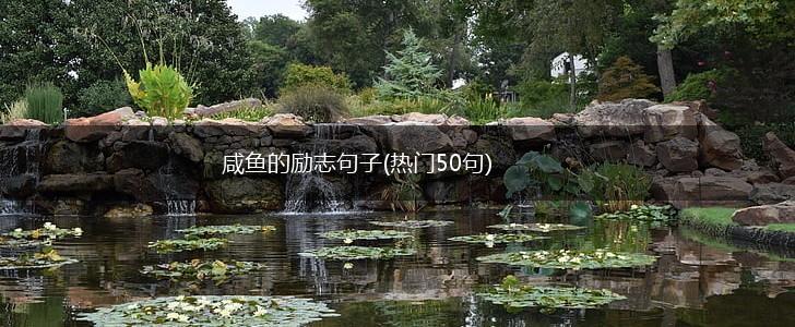 咸鱼的励志句子(热门50句),第1张