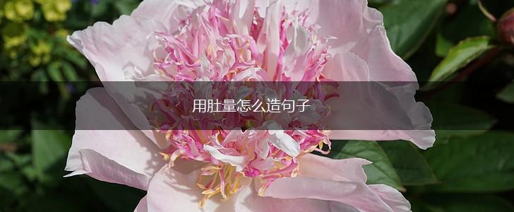 用肚量怎么造句子,第1张 用肚量怎么造句子,第1张