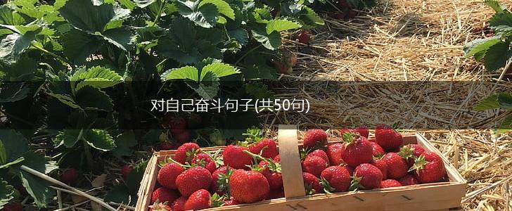 对自己奋斗句子(共50句),第1张