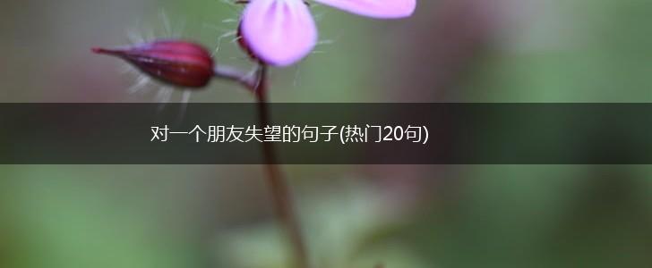 对一个朋友失望的句子(热门20句),第1张