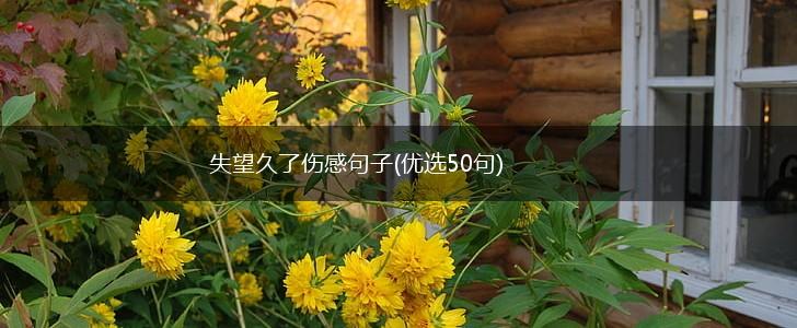 失望久了伤感句子(优选50句),第1张