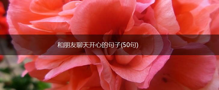 和朋友聊天开心的句子(50句),第1张