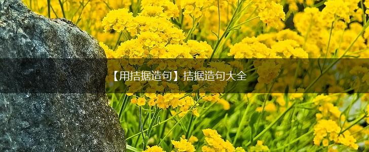 【用拮据造句】拮据造句大全,第1张 【用拮据造句】拮据造句大全,第1张