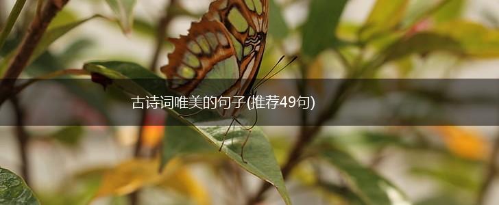 古诗词唯美的句子(推荐49句),第1张
