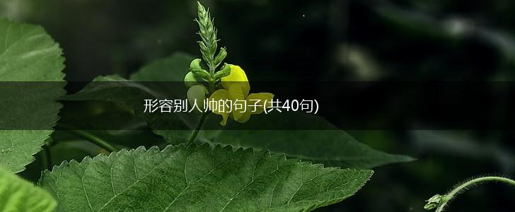 形容别人帅的句子(共40句),第1张