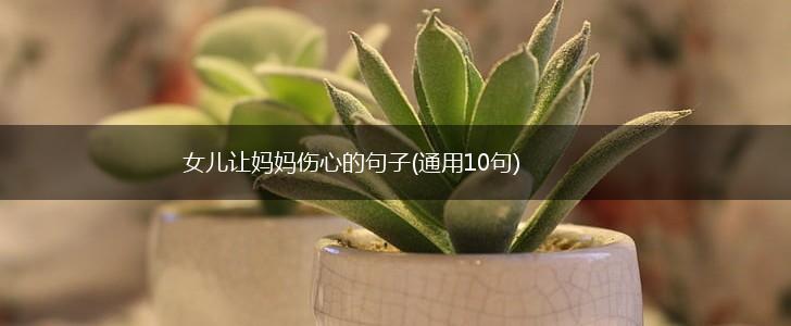 女儿让妈妈伤心的句子(通用10句),第1张