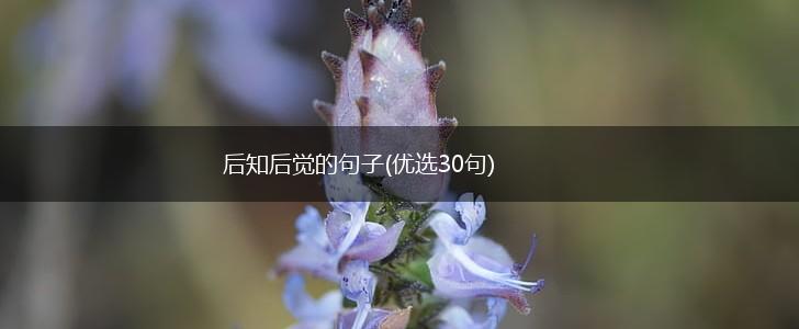 后知后觉的句子(优选30句),第1张