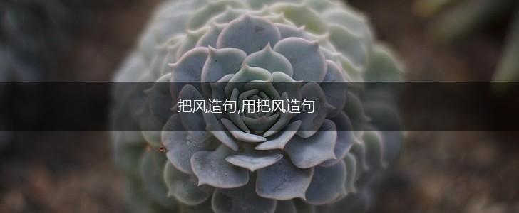 把风造句,用把风造句,第1张