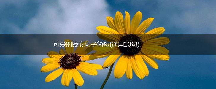 可爱的晚安句子简短(通用10句),第1张