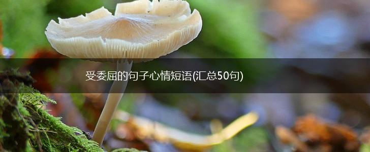 受委屈的句子心情短语(汇总50句),第1张