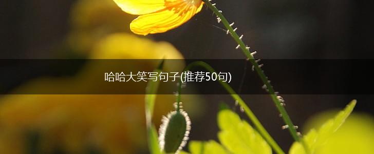 哈哈大笑写句子(推荐50句),第1张