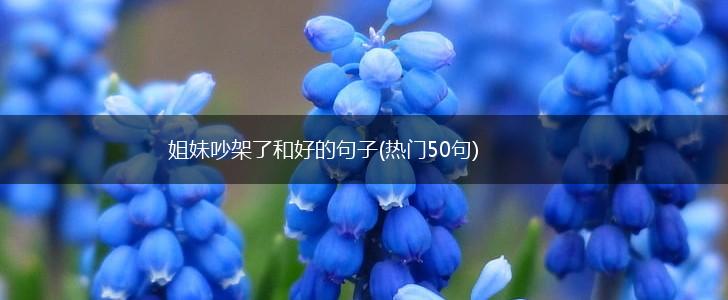 姐妹吵架了和好的句子(热门50句),第1张