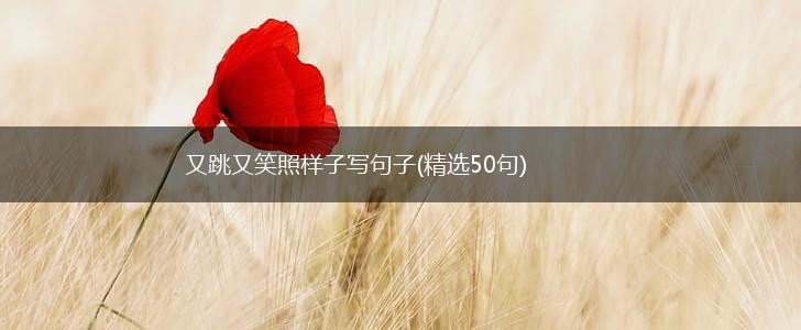 又跳又笑照样子写句子(精选50句),第1张